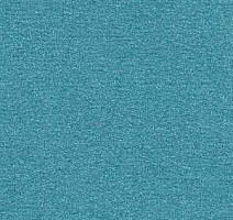 Ковролин Radici Nexus Genziana 8249 фото 1 | FLOORDEALER